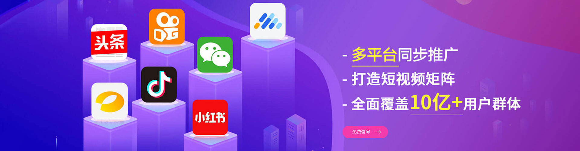 白朗竞价排名